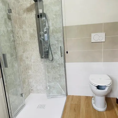 Airport Flower 론치데이레기오나리