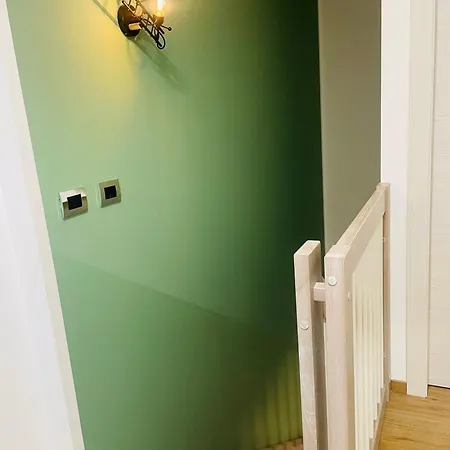 Airport Flower Guest house *