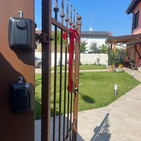 Airport Flower Ronchi Dei Legionari