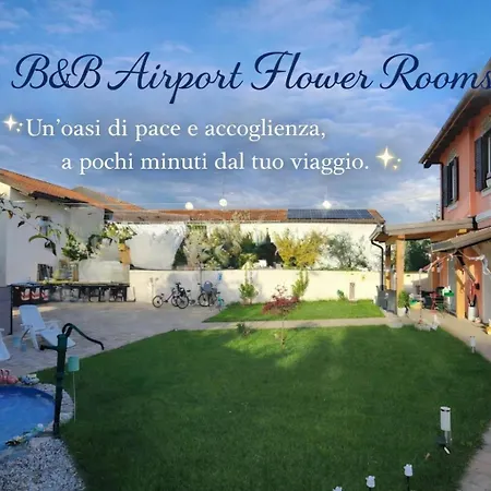 Airport Flower Ronchi Dei Legionari